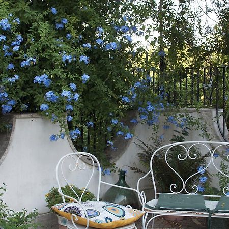 Il Giardino Del Sole Bed & Breakfast Roccarainola Ngoại thất bức ảnh